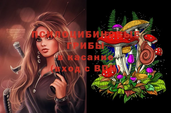 бошки Алексеевка