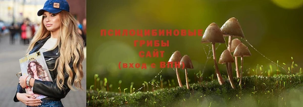 а пвп мука Алзамай