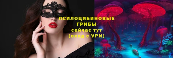 бошки Алексеевка