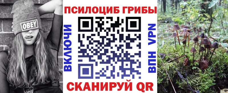 blacksprut сайт  Нурлат  Галлюциногенные грибы MAGIC MUSHROOMS 