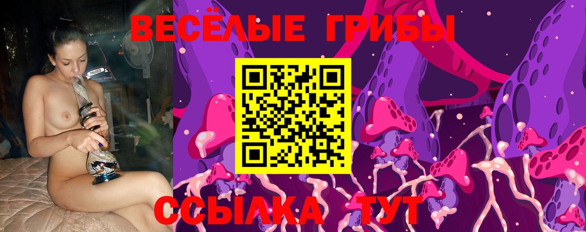Галлюциногенные грибы Psilocybine cubensis Нурлат